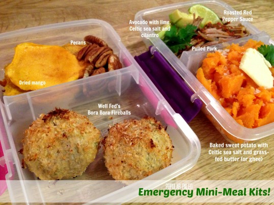 Emergency Mini-Meal Kits | Popular Paleo