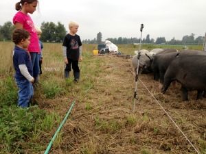 Kids meet the Filbert Acres pigs | Popular Paleo